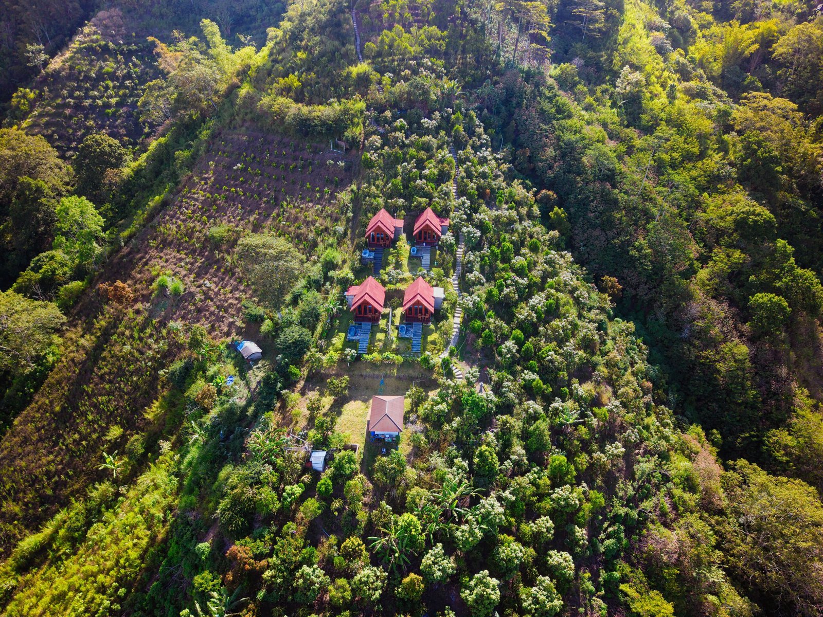Aerial shot of villas surrounded by lush jungle in Bali, showcasing a tranquil retreat.